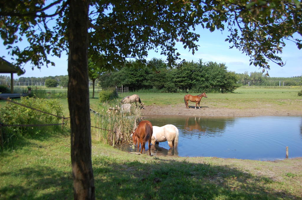 Lelymare Logies Lelystad Exterior foto